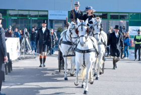 Attacchi: Applausi all’Eleganza