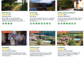 Hai un’attività inerente al mondo del cavallo o del pet? Promuovila GRATIS sul Portale del Cavallo