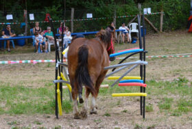 Un corso per ragazzi UNDER 14: Comprendere il carattere dei CAITPR