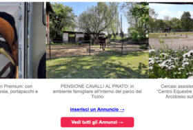 Hai qualcosa da vendere? Pubblica i tuoi annunci su Informa e sul Portale del Cavallo