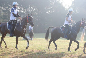 Vittoria Italiana a Samorin