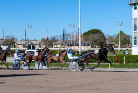 Ippodromo Arcoveggio Bologna: resoconto delle corse di domenica 10 aprile