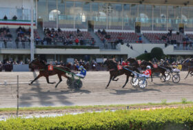 Ippodromo Arcoveggio Bologna: presentazione delle corse di domenica 10 aprile