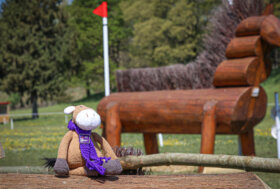 FEI World Championships 2022 Eventing and Driving