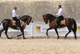 Oggi alle 17.30 parte la 4° Fiera Mediterranea del Cavallo