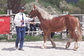 Quarta edizione del Meeting CAITPR-ANACAITPR di Pescasseroli