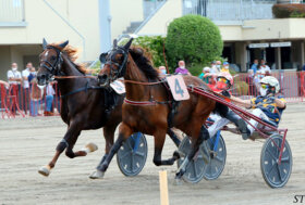 Ippodromo Arcoveggio Bologna: presentazione delle corse di giovedì 26 maggio