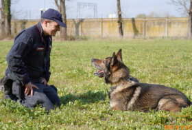 Attacchi di Design 2022