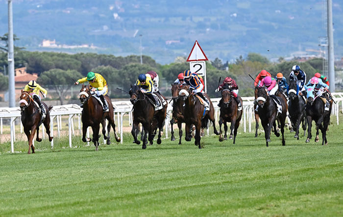 In 10.000 a Capannelle per l’Italian Guineas Day: nel Parioli vince a sorpresa See Hector, nel Regina Elena trionfa Swipe Up