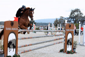 Sport equestri: accordo tra Sardegna e Corsica per ridurre i costi delle gare