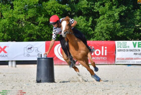 Campionati Italiani Mounted Games a squadre