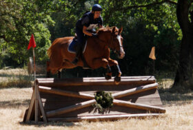 A Tanca Regia Dressage, Completo e Coppa Italia Club per pony