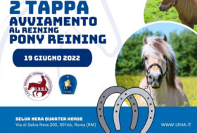 2° tappa di avviamento al Reining/Pony Reining LRHA-FISE