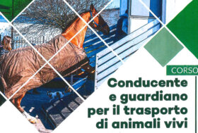 Corso di formazione per conducente e guardiano per il trasporto di animali vivi