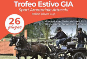 Tutti in campo con lo sport amatoriale