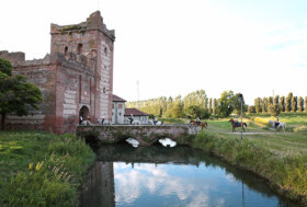 FEI Endurance World Championship Verona 2022