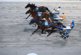 Ippodromo Cesena Trotto: resoconto della serata di “Ouverture”, GP del Centenario