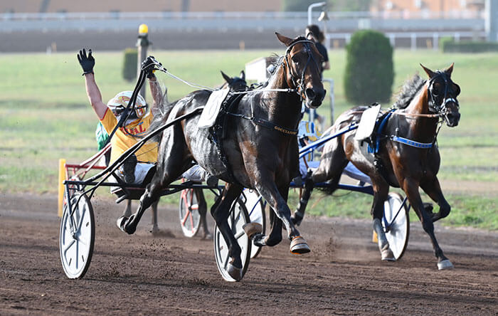 Ippodromo Capannelle: Mercoledì 29 giugno i Grandi Premi Triossi, Turilli e Carena per chiudere in bellezza la stagione