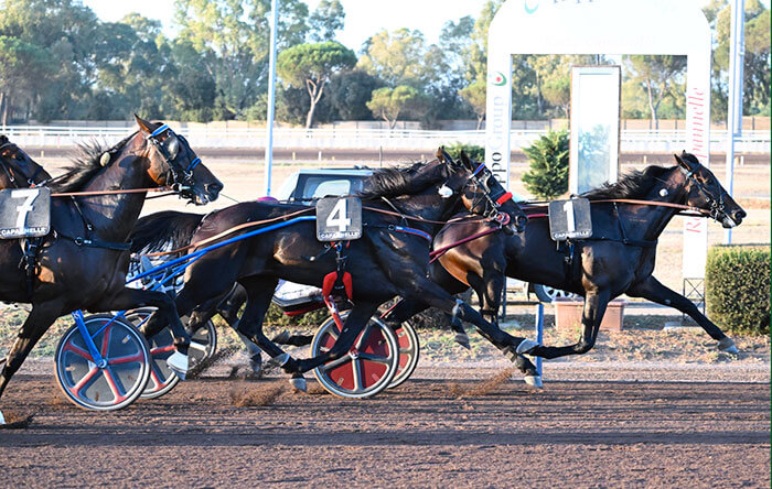 Capannelle chiude la stagione con i successi di Callmethebreeze nel Triossi, Bleff Dipa nel Turilli e Crystal Pan nel Carena