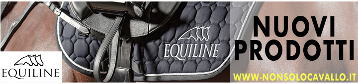 Nuovi prodotti - Equiline
