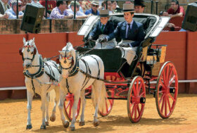 Attacchi: Aquí está la Feria!