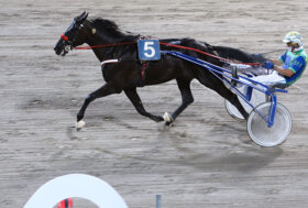 Ippodromo Cesena Trotto: resoconto delle corse di sabato 23 luglio 2022