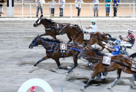 Ippodromo Cesena Trotto: resoconto delle corse di martedì 19 luglio 2022