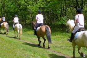 Azienda in Primo Piano: Il Tempio Circolo Ippico
