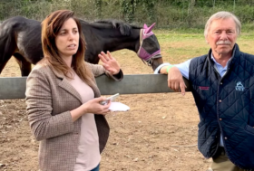 10 Corsi online del Portale realizzati per il benessere del tuo cavallo. Sfrutta il buono sconto del 20%