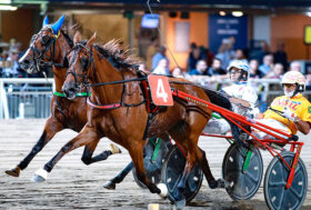 Ippodromo Cesena Trotto: presentazione delle corse di venerdì 15 luglio 2022