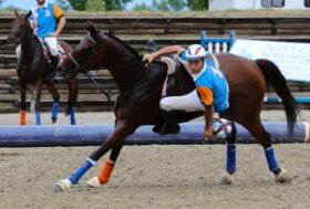 World Cup Horseball: cinque squadre azzurre a Saint Lo