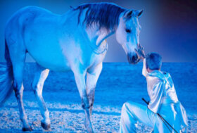 CHAKRAS – viaggio nei colori dell’anima