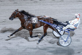 Ippodromo Cesena Trotto: presentazione delle corse di martedì 30 agosto 2022