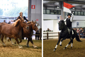 Dal 25 al 28 agosto 2022, un’edizione di Eurocheval all’insegna delle eccellenze del made in Italy