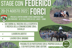 Stage con Federico Forci, due giorni all’insegna della scoperta e ricerca della comunicazione con il cavallo