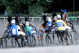 Ippodromo Cesena Trotto: presentazione delle corse di martedì 2 agosto 2022