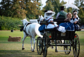 Viaggio nel Tempo al Parco Giardino Sigurta’