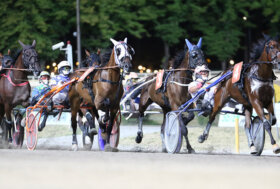 Cesena Trotto: presentazione delle corse di venerdì 19 agosto 2022