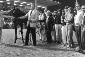 Ippodromo Cesena Trotto: presentazione delle corse di sabato 6 agosto 2022