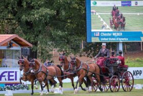 FEI World Championships 2022 Eventing and Driving