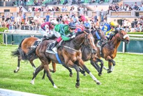 Ippodromo Capannelle: corse al galoppo 10 febbraio