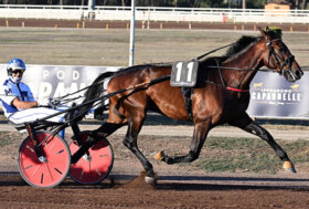 Capannelle: con le batterie corse domenica, definito il quadro dei partenti del 95° Derby Italiano del Trotto e delle Oaks