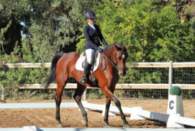 Dressage: Francesca Giulia Passerini vince il titolo sardo
