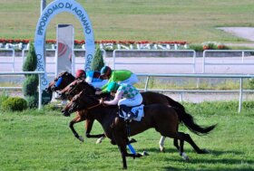 Conferenza Stampa e sorteggio, al via il 73^ gp Lotteria di Trotto