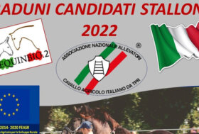 Presentazione raduni candidati stalloni 2022