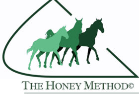 THE HONEY METHOD – Nasce un nuovo metodo di educazione e addestramento del puledro