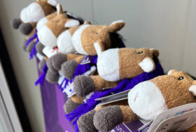 Pratoni 2022: Willberry, il “pony dei desideri”, in campo contro l’osteosarcoma. La mascotte peluche ai Fei World Championships 2022 