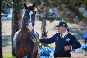 FEI World Championships 2022 Eventing and Driving: oggi si parte con il dressage