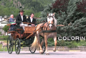 Attacchi: Carrozze in Valtellina