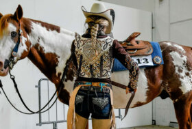 Fieracavalli, con il Westernshow il salone equestre di Veronasi fa a stelle strisce